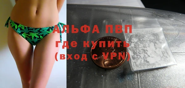 стаф Богородицк