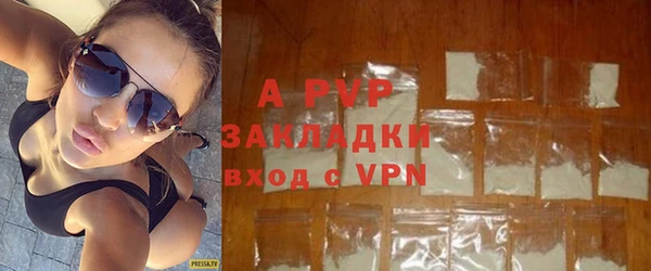 стаф Богородицк