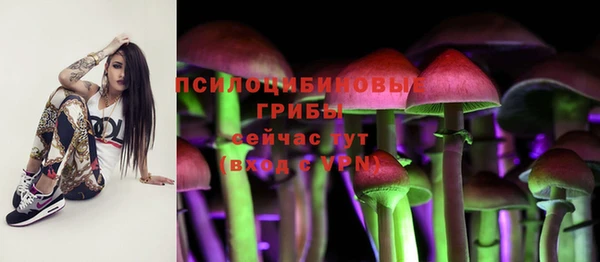 стаф Богородицк