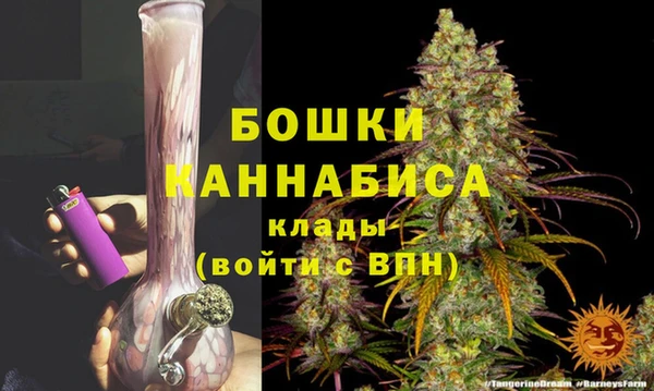 молекула духа Бронницы