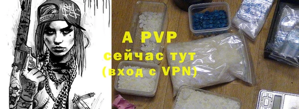 PSILOCYBIN Щучье