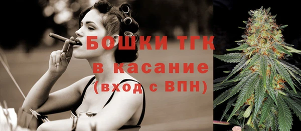молекула духа Бронницы